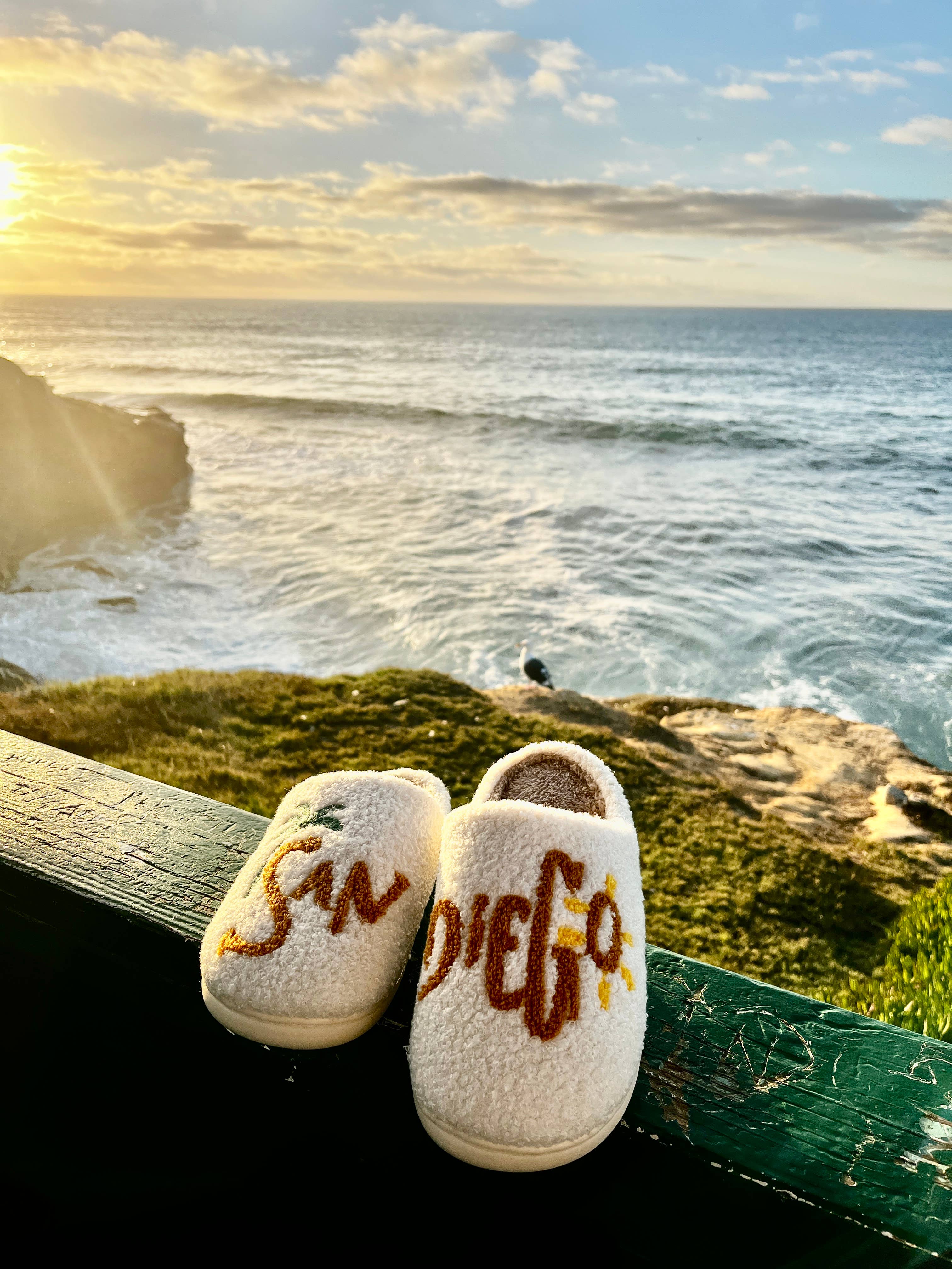 San Diego, California, Hat, Towel, Shirt, Slipper, Magnet
